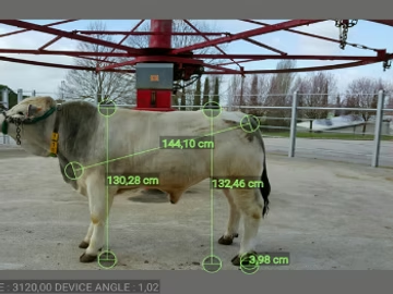 Misurazione biometrica di un animale tramite l’applicazione ZOOMETER