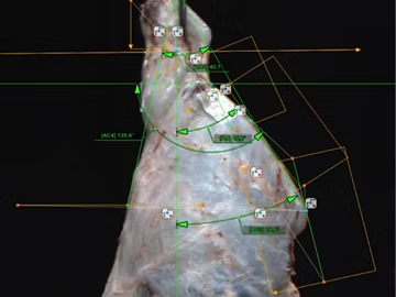 Schermata SEUROP Scan con misurazione digitale di una carcassa